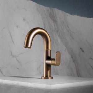 slim_bronze1.jpg