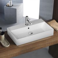 tetra n 70x42.jpg